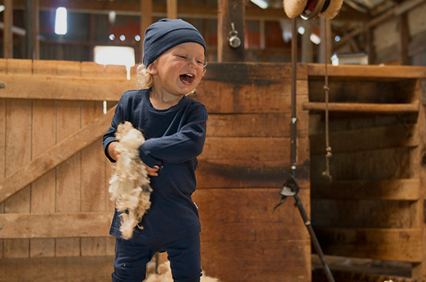 Why merino?