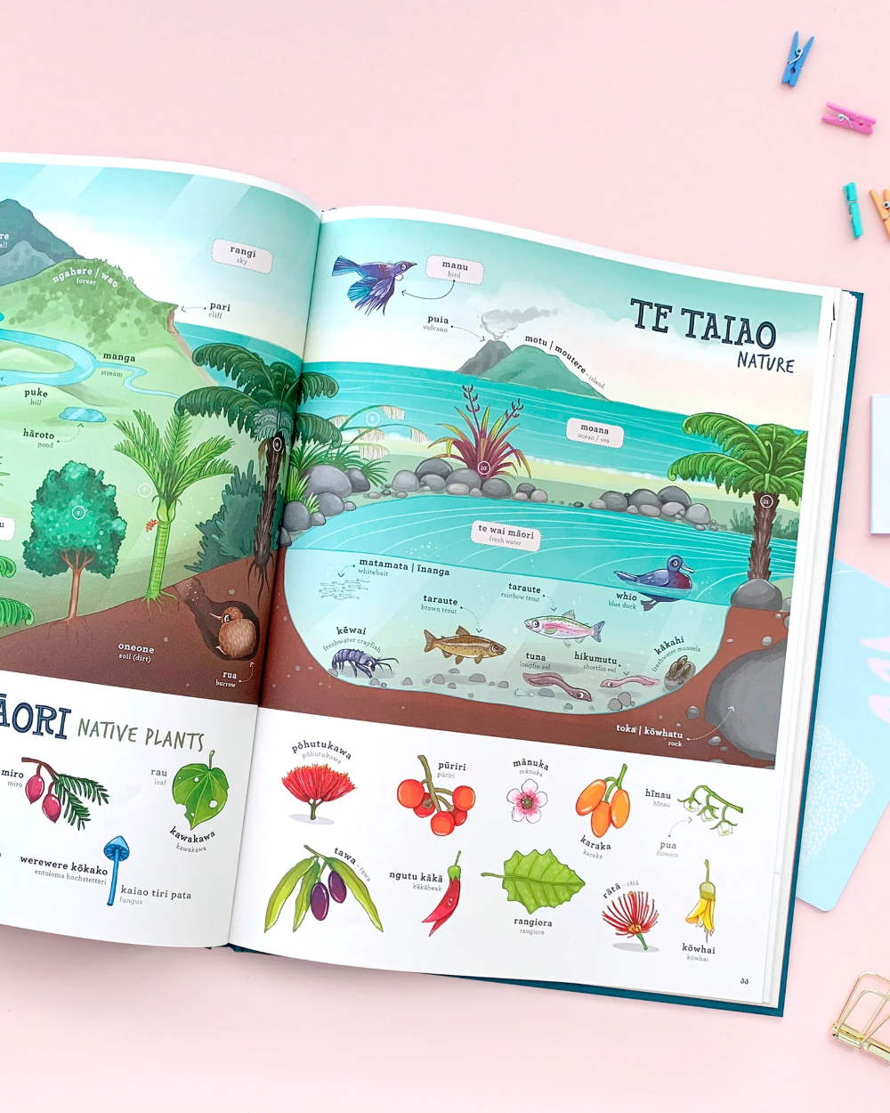 Kuwi & Friends Maori Picture Dictionary