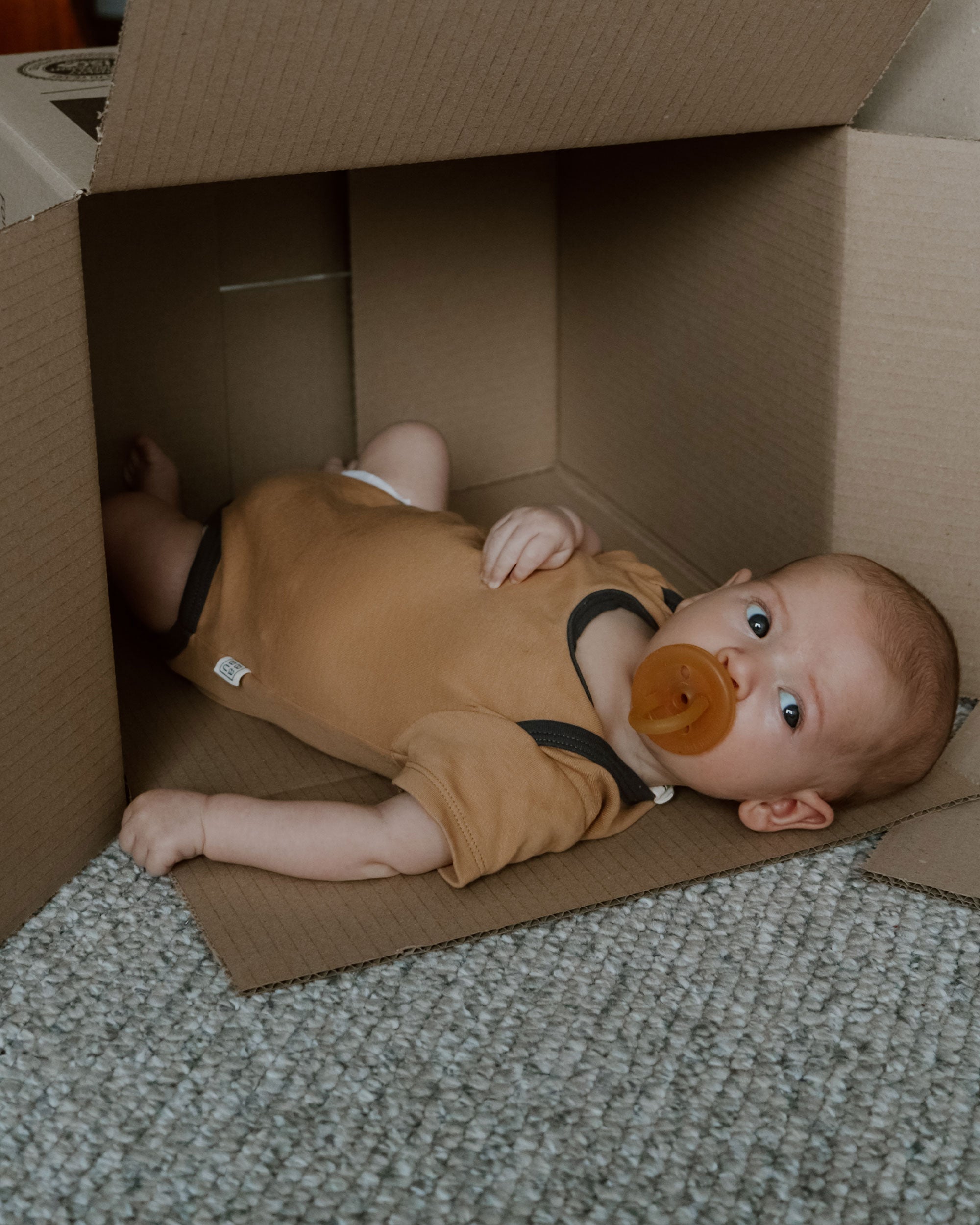 Short Sleeve Bodysuit - Marigold Contrast
